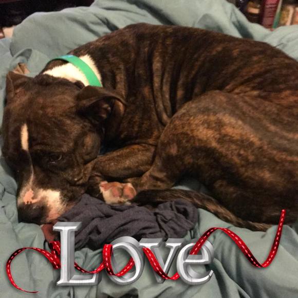 Meet your Posher, Meghan - Picture 1 of 1